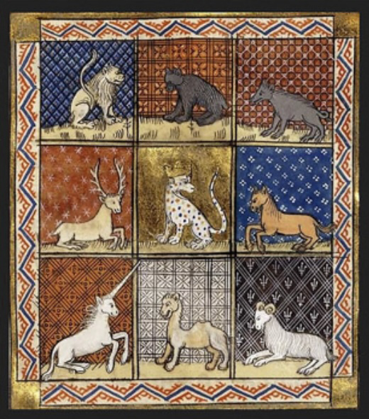 Medieval Animals
